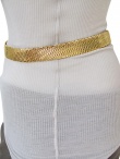 Angelos-Frentzos Metal meshes belt with tissue