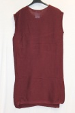 Vulpinari Dress